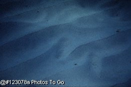 A mature couple; Actual size=240 pixels wide